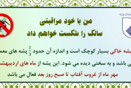 من با خود مراقبتی سالک را شکست خواهم داد