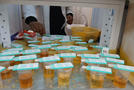 سالک، مالاریا و غربالگری نوزادان